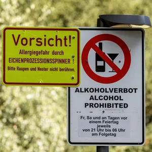 Eichenprozessionsspinner in Hamburg