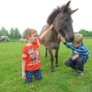 Tayler (l.) und Iron spielen mit einem Pony.