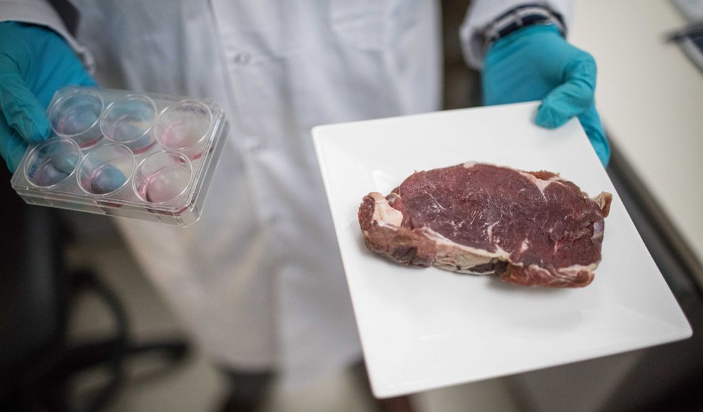 Forscher züchten Fleisch im Labor.