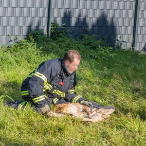 Rehkitz Sasel Pool Feuerwehr