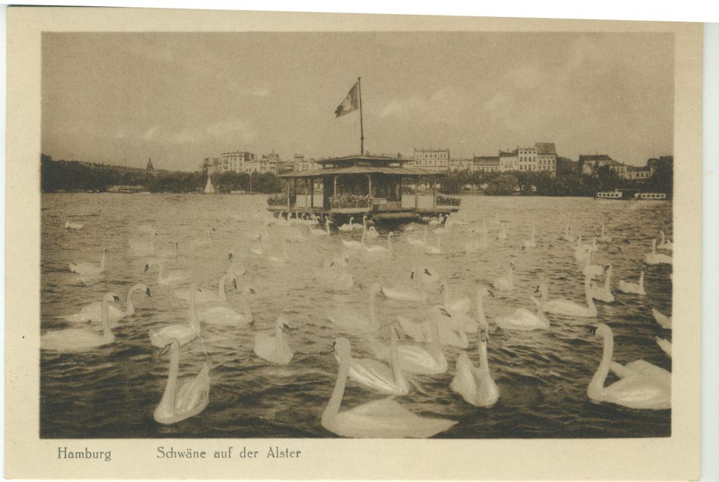 Postkarte mit Schwanenhaus auf der Alster.