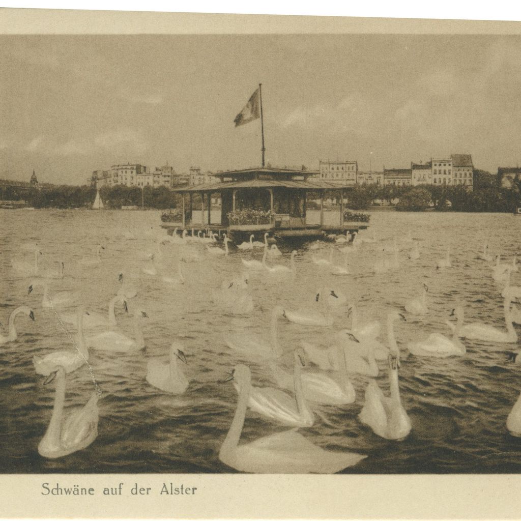Postkarte mit Schwanenhaus auf der Alster.