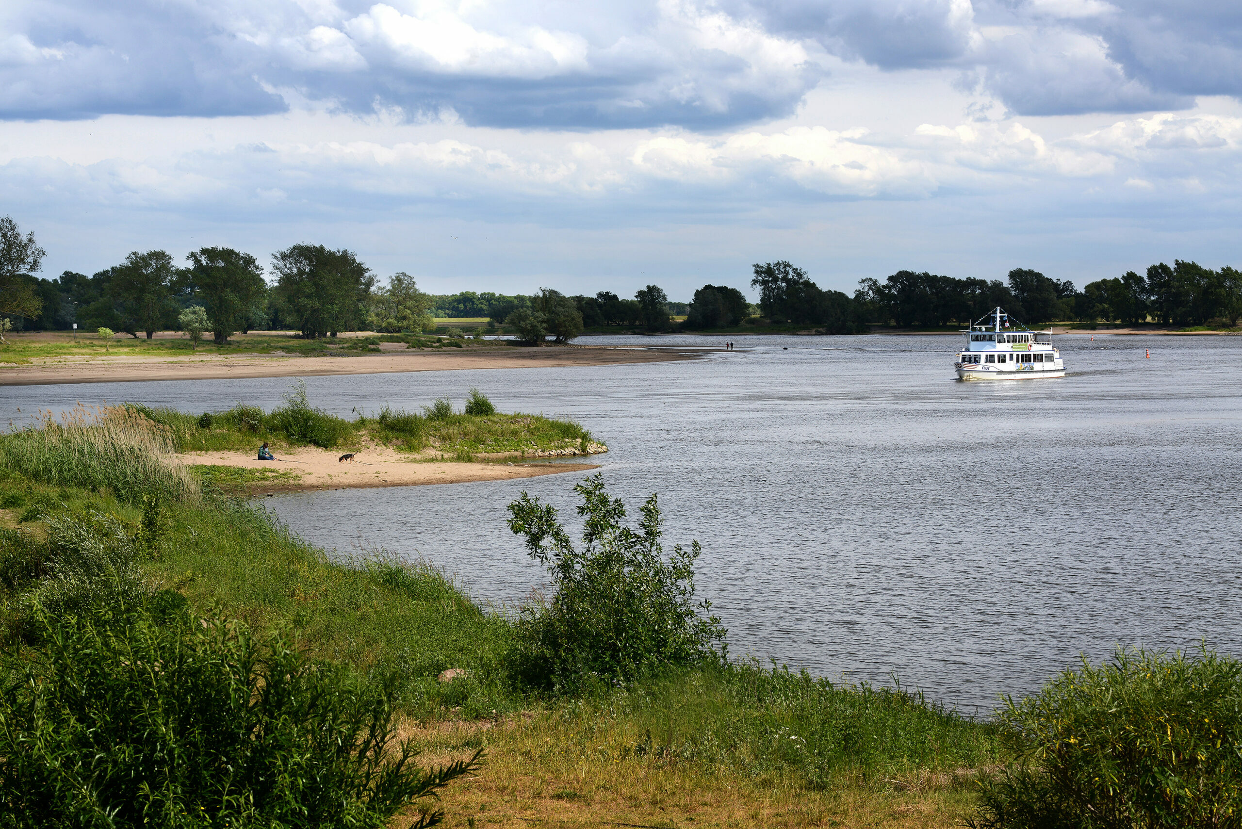 Elbe bei Damnatz