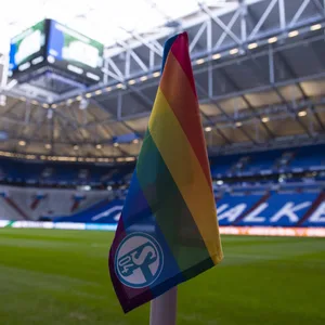 Eckfahne Veltins Arena