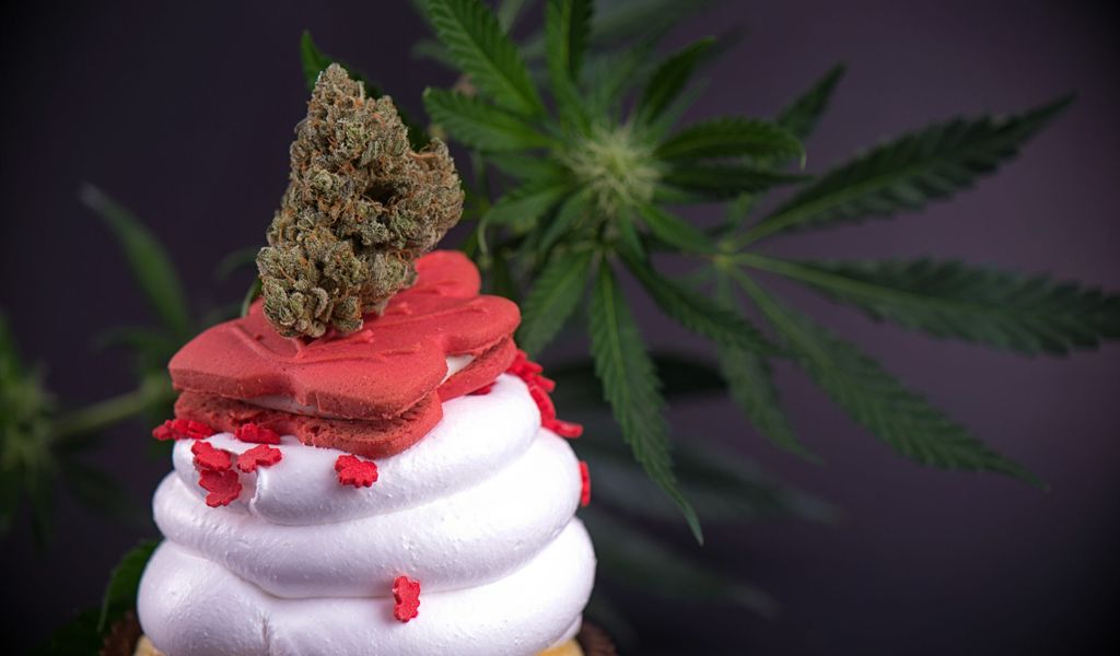 Cupcake mit einem Cannabis-Nugget und einer Cannabis-Pflanzen im Hintergrund.