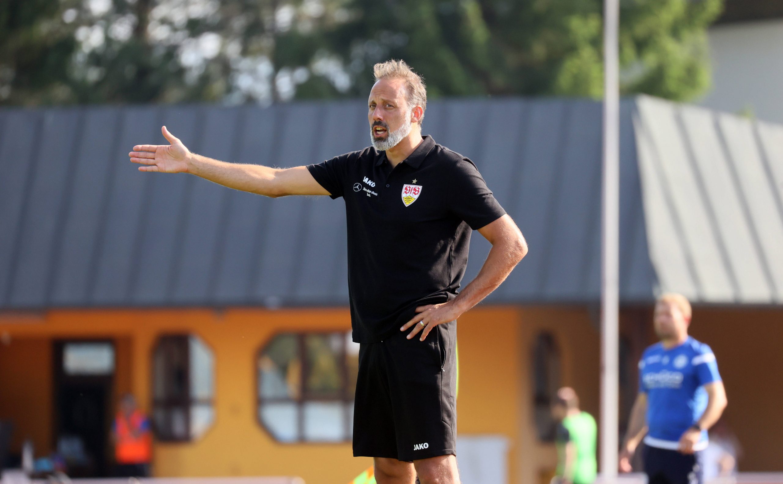 VfB-Trainer Pellegrino Matarazzo