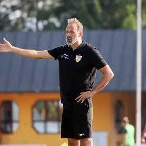 VfB-Trainer Pellegrino Matarazzo