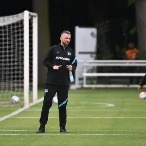 Vedad Ibisevic