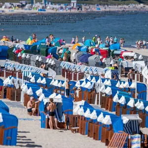 Vibrionen-Alarm in der Ostsee