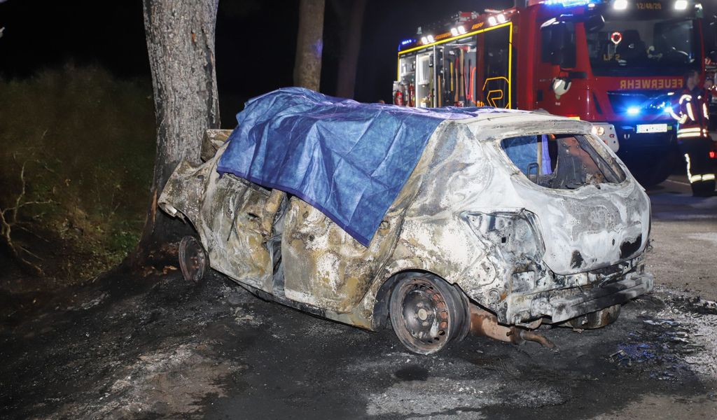 Das verbrannte Auto in Tetenhusen.