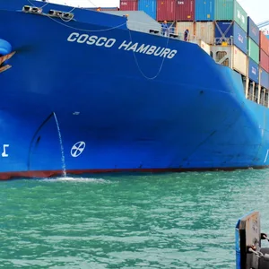 Der Einstieg der chinesischen Reederei Cosco im Hafen wird stark kritisiert. Was bedeutet die Entscheidung für die Ampel? Und was sagen Experten zum Deal?