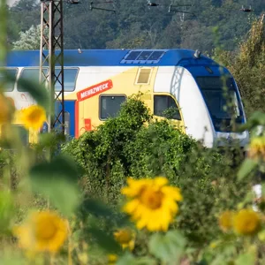 Metronom