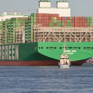 Grüner Containerfrachter