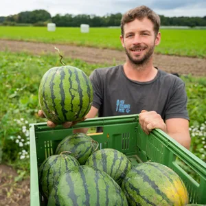 Wassermelonen aus Niedersachsen