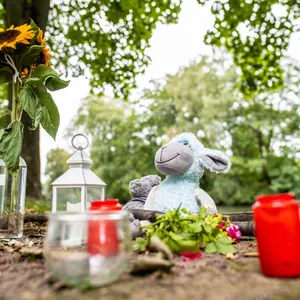 Kerzen und Stofftiere