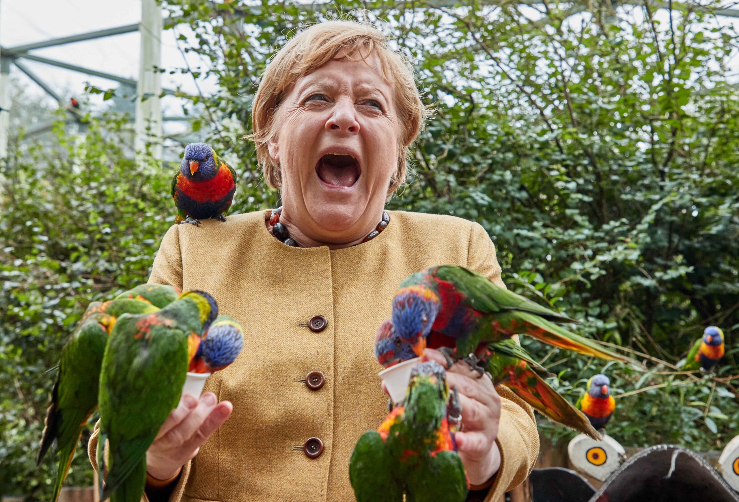 Hatten sichtlich Spaß: Angela Merkel und die bunten Tierchen.