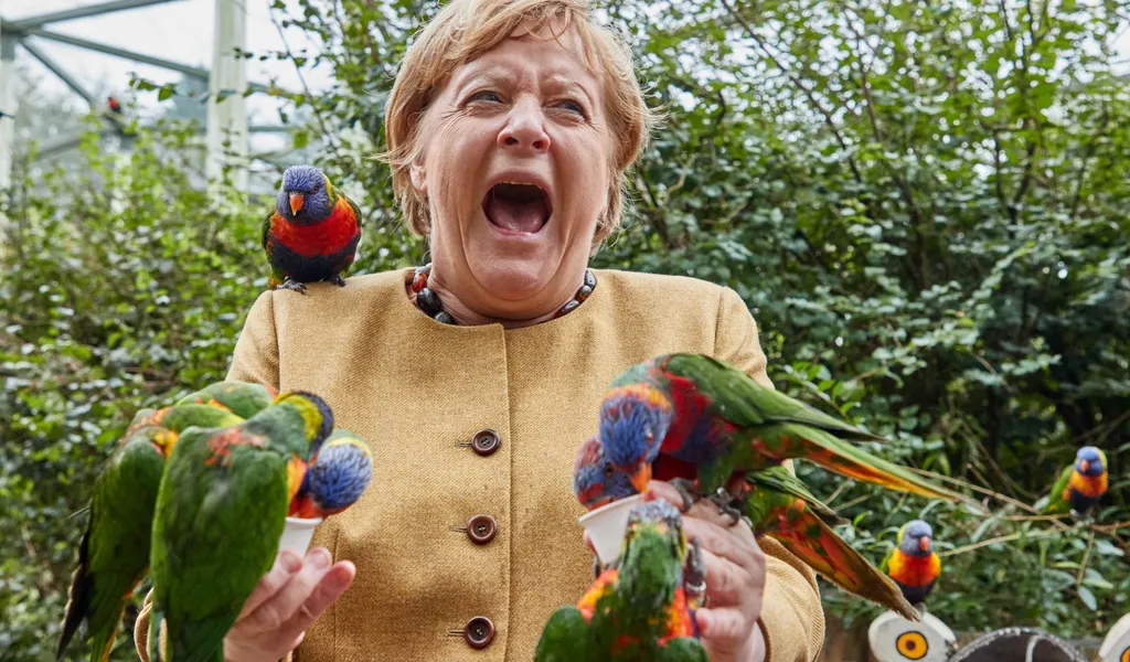 Hatten sichtlich Spaß: Angela Merkel und die bunten Tierchen.