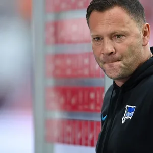 Dardai