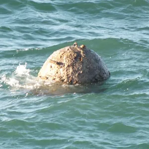 Seemine Nordsee Kampfmittel Weltrkieg