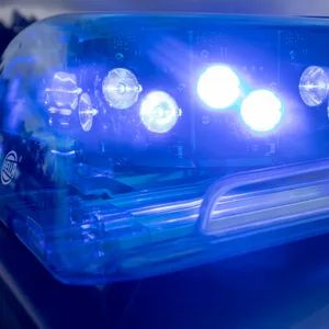Ein Blaulicht auf dem Dach eines Polizeifahrzeugs
