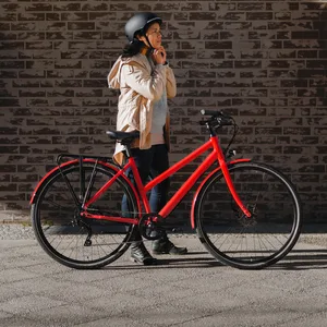 Die elektrischen Fahrräder von Ampler wiegen circa 15 Kilogramm und haben eine Reichweite von 70 Kilometern.