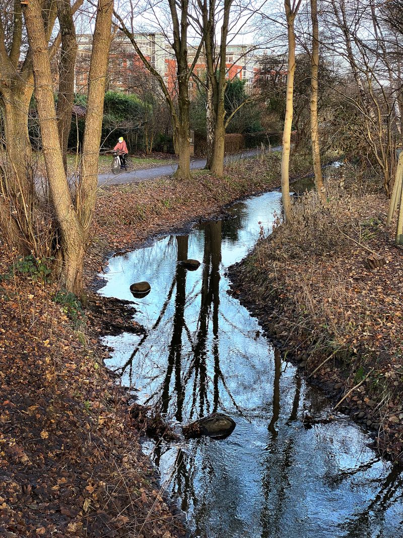Immer am Wasser entlang führt der kilometerlange Tarpenbek-Kollau-Wanderweg.