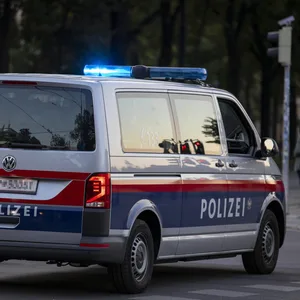 Polizeiauto in Österreich (Symbolbild).