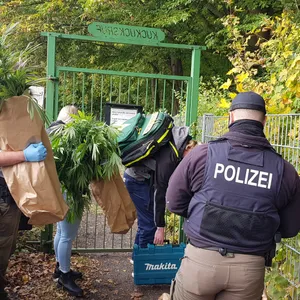 Drogenfund