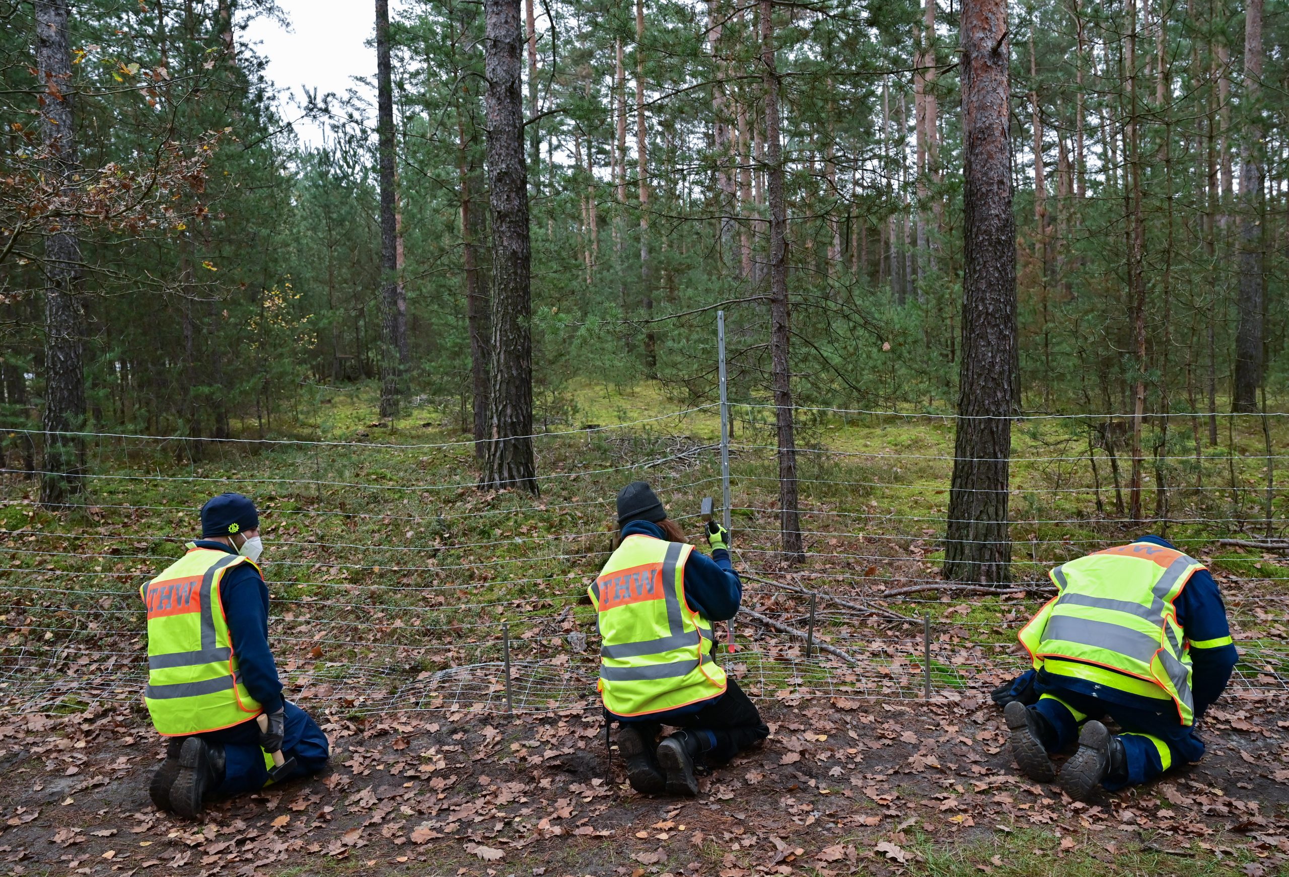 Ehrenamtliche Mitglieder des Technischen Hilfswerks (THW) errichten einen festen Zaun in einem Wald. (Symbolbild)