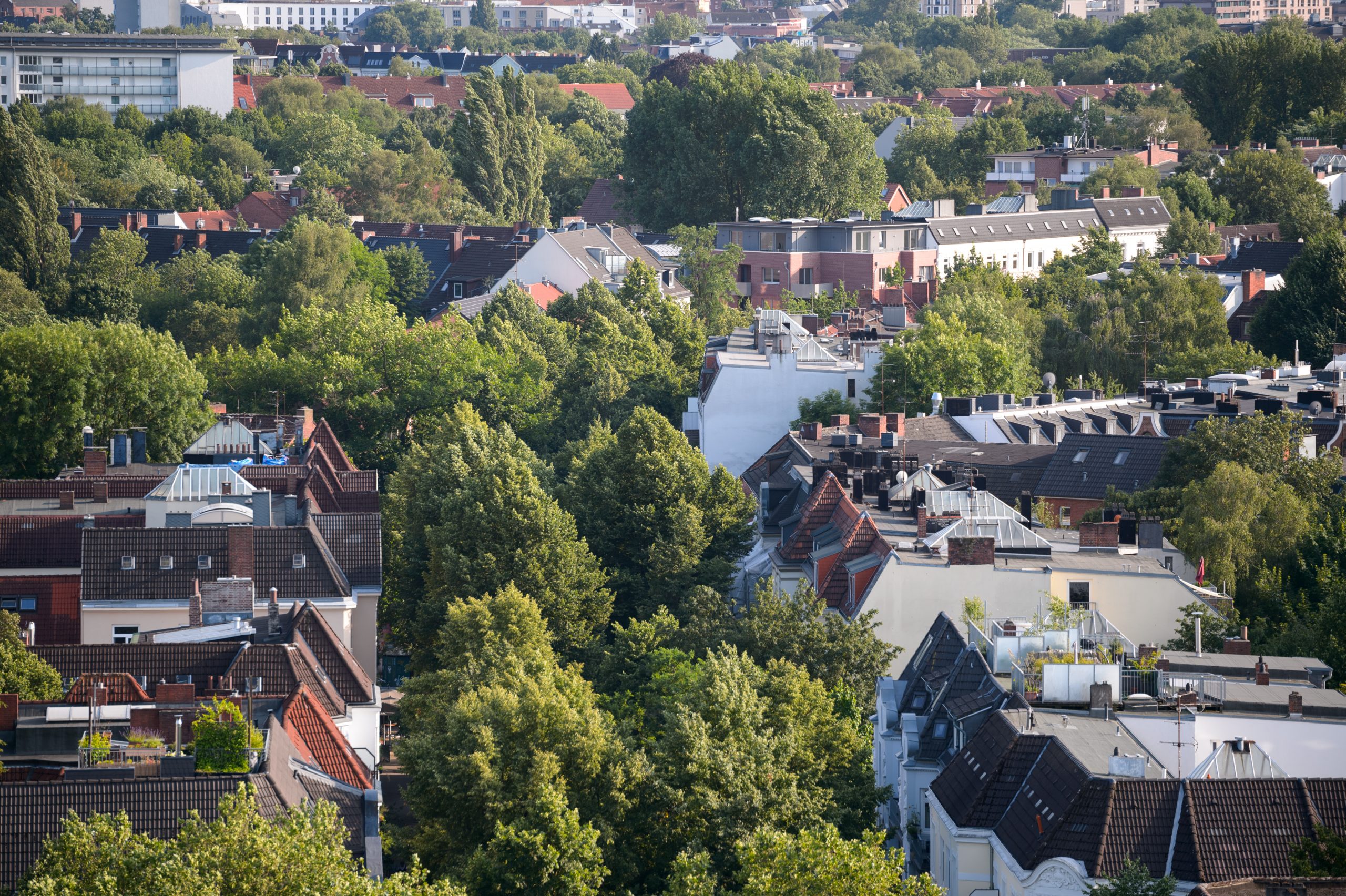 Hamburg gilt als grüne Stadt - einige Bäume werden jetzt aber gefällt.