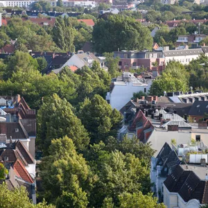 Hamburg gilt als grüne Stadt - einige Bäume werden jetzt aber gefällt.