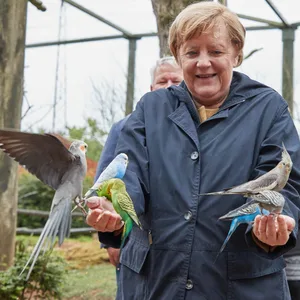 Angela Merkel