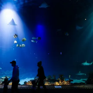 Besucher kommen ins Tropen-Aquarium im Tierpark Hagenbeck.