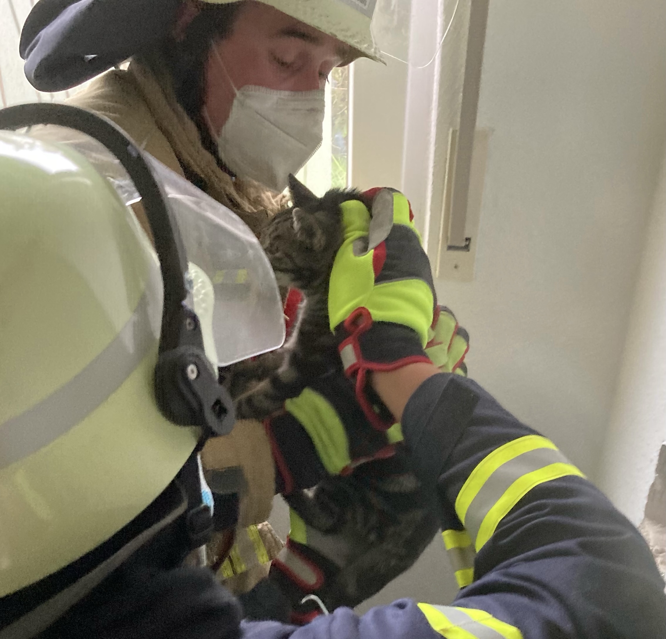 Feuerwehr rettet Katze