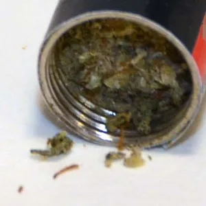 Die Batterien ließen sich aufschrauben - darin waren Drogen versteckt.