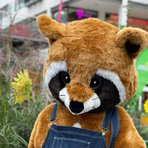Waschbär Wilbert