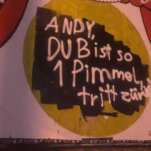 Das erneut bemalte Plakat mit dem Schriftzug "Andy, du bist so 1 Pimmel, tritt zurück"