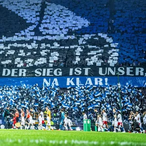 HSV Fans