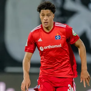 Jonas David HSV Aue