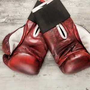 Boxhandschuhe