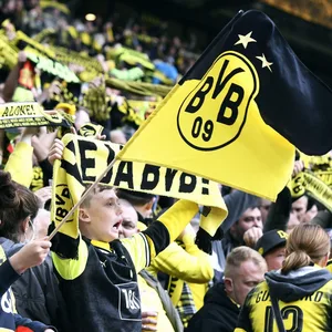 BVB-Fans