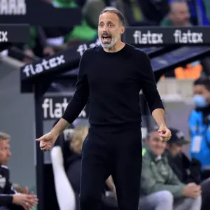 VfB Stuttgarts Trainer Pellegrino Matarazzo