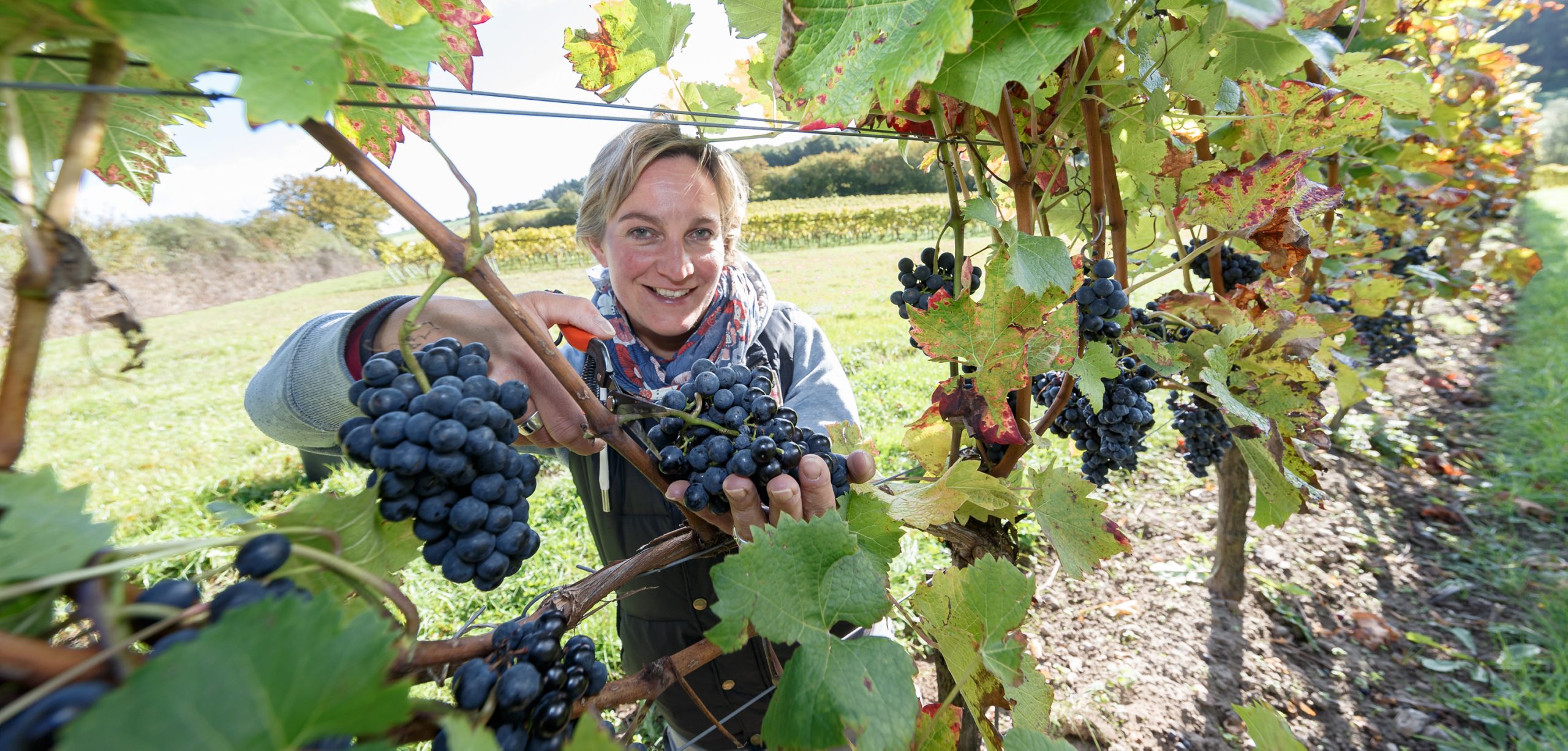 Schleswig-Holstein, Bad Malente: Winzerin Melanie Engel