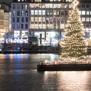 Weihnachtsbaum auf der Alster