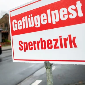 Ein Schild mit der Aufschrift „Geflügelpest Sperrbezirk“ steht an einer Straße im Landkreis Cloppenburg.