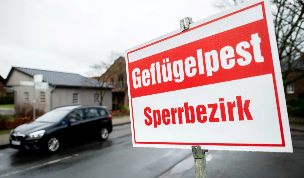 Ein Schild mit der Aufschrift „Geflügelpest Sperrbezirk“ steht an einer Straße im Landkreis Cloppenburg.