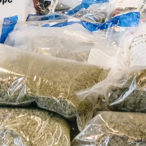 Mehrere Kilogramm Cannabis liegen auf einem Tisch im Landeskriminalamt Niedersachsen. 132 Millionen Euro Schaden verursachte organisierte Kriminalität meist mit Drogenhandel und – schmuggel im vergangenen Jahr.
