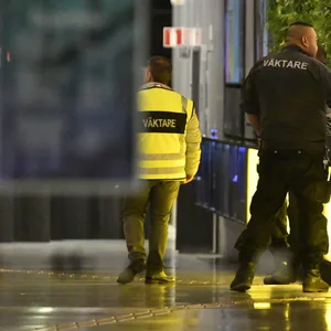 Uppsala Sturz Tod