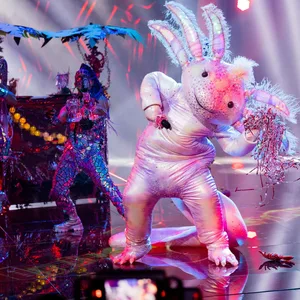 Die Figur "Das Axolotl" übergibt in der Prosieben-Show "The Masked Singer" einen Liebesbrief an Gast Winterscheidt.