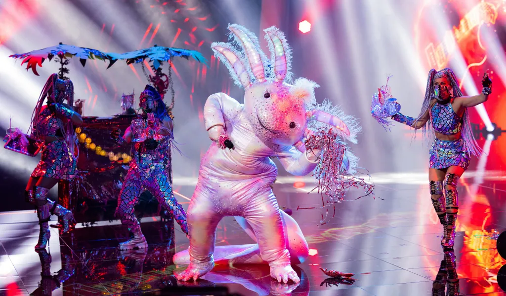 Die Figur "Das Axolotl" übergibt in der Prosieben-Show "The Masked Singer" einen Liebesbrief an Gast Winterscheidt.